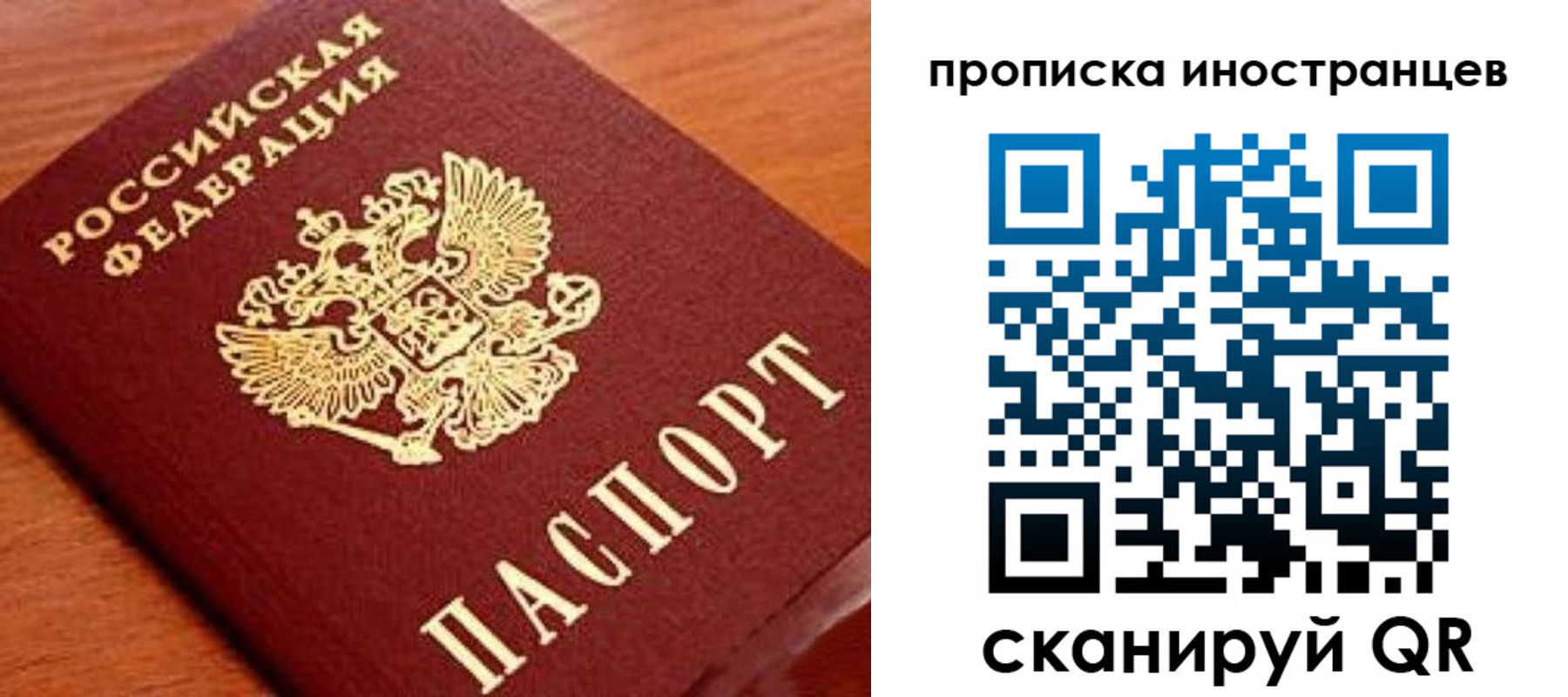 прописка законно в Бабаево